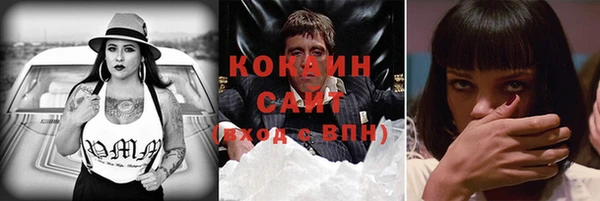 сатива Богданович