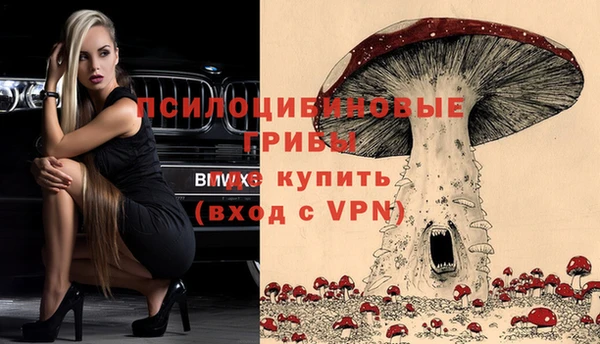 дмт Баксан