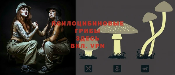 ALPHA PVP Богородицк