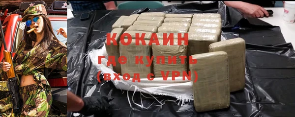 сатива Богданович