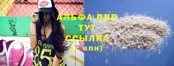 сатива Богданович